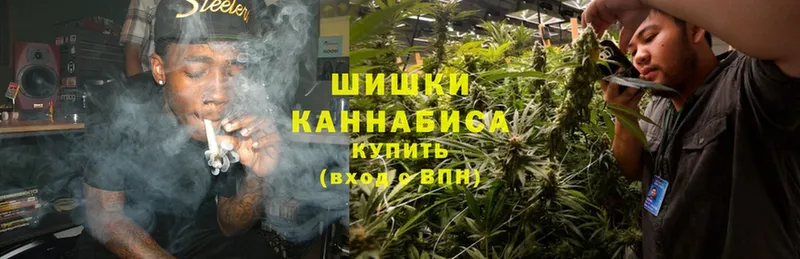 Канабис SATIVA & INDICA  MEGA как войти  Светлоград  наркота 